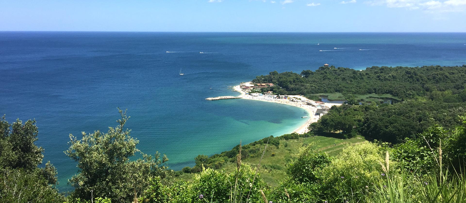 Cerco villetta a schiera Marche