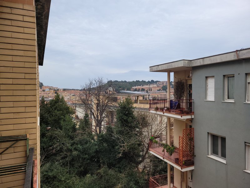 Cerco rustico Numana